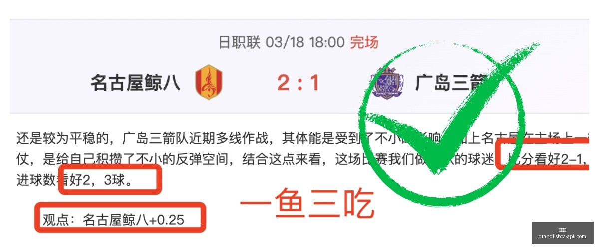 科技巨头财,报亮眼,新项目引行,新葡京,新葡京app,新葡京娱乐,新普京赌场