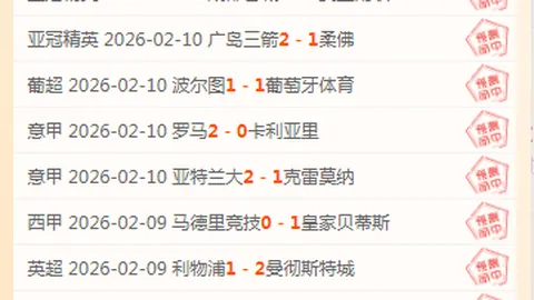 逐梦竞技场：小久保玲央领军西班牙挑战巅峰荣耀