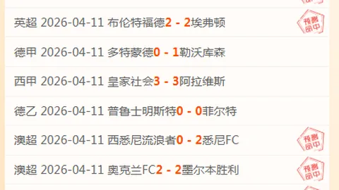 镜头捕捉激情，辛苦付出见证体育瞬间——人民日报