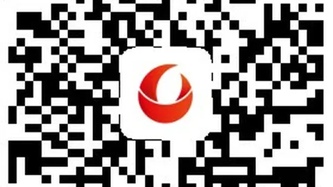 官方确认：鲍尔默因处罚公开道歉，放弃法律追责终极指南解析